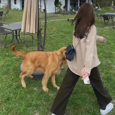 红色药丸